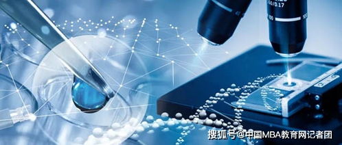 華東理工大學大健康專題三 我國第一類醫療器械市場的發展機遇與挑戰